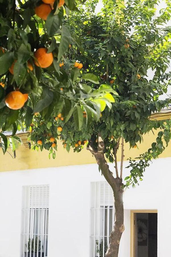 Apartamento Costasol Кордова Экстерьер фото